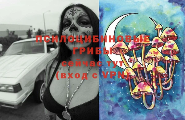 дживик Лабытнанги