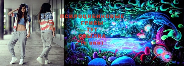 молекула духа Ладушкин