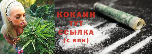 молекула духа Липки