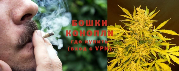 дживик Лабытнанги
