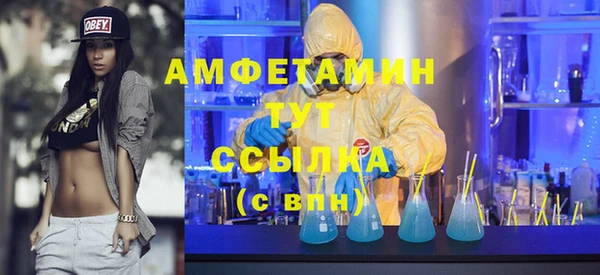 молекула духа Ладушкин